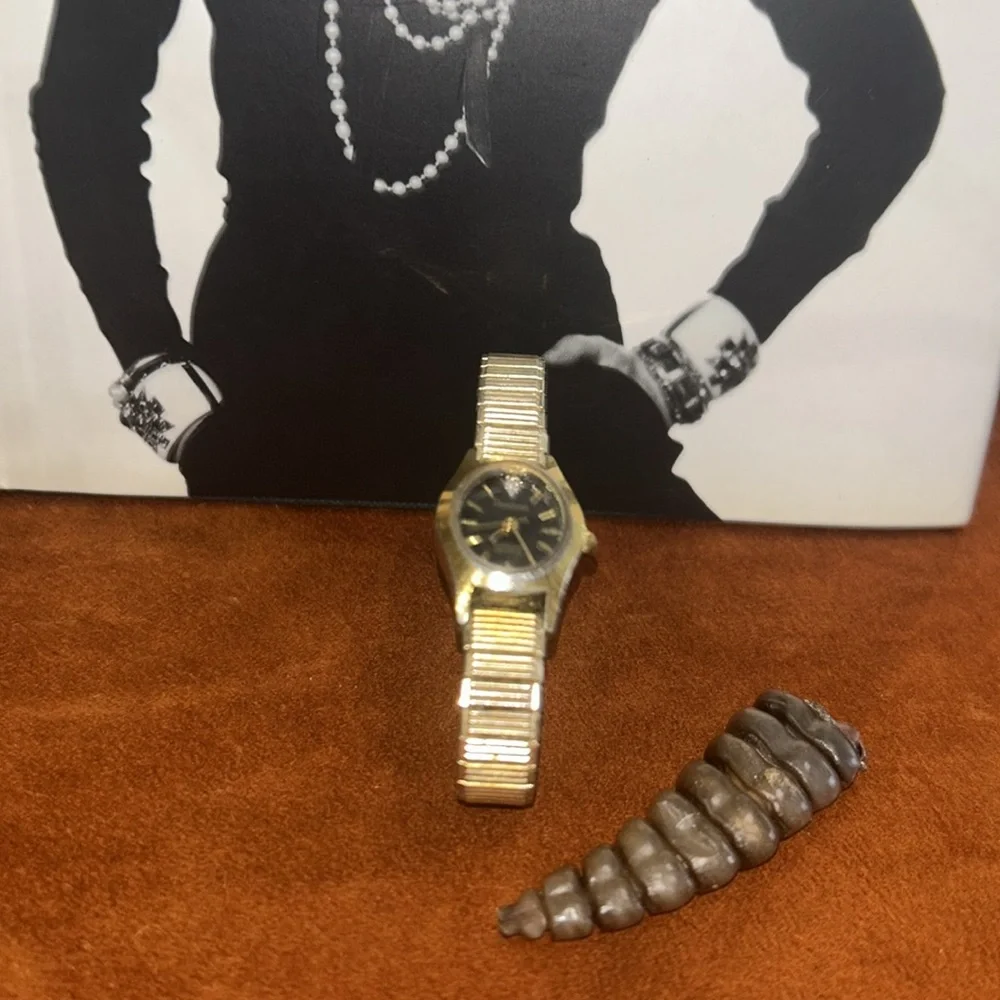 Armitron Gold-Tone Watch with Black‎ Dial